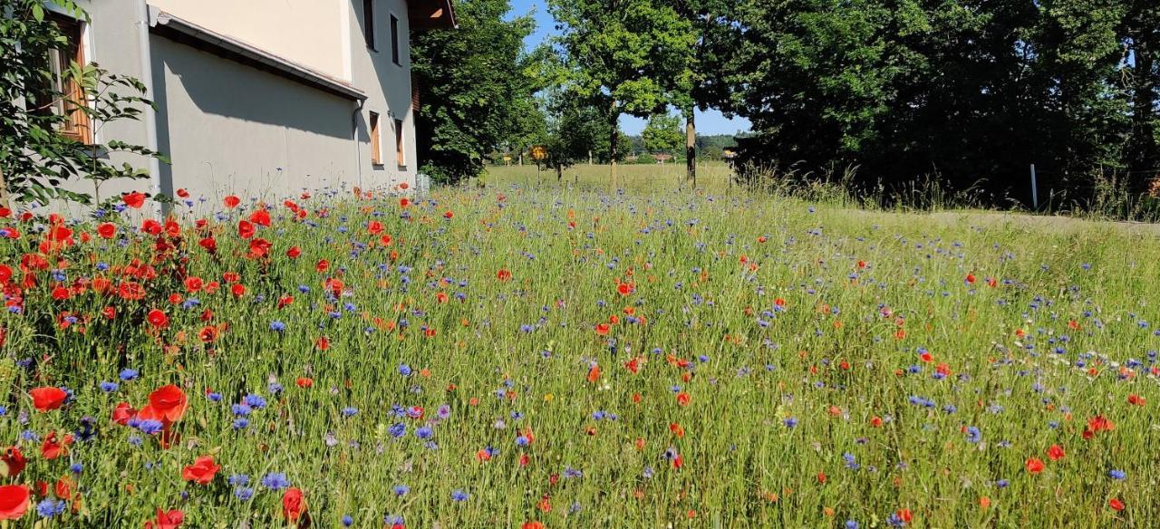 Ferienwohnung Ponlach Тіттмонінг Екстер'єр фото